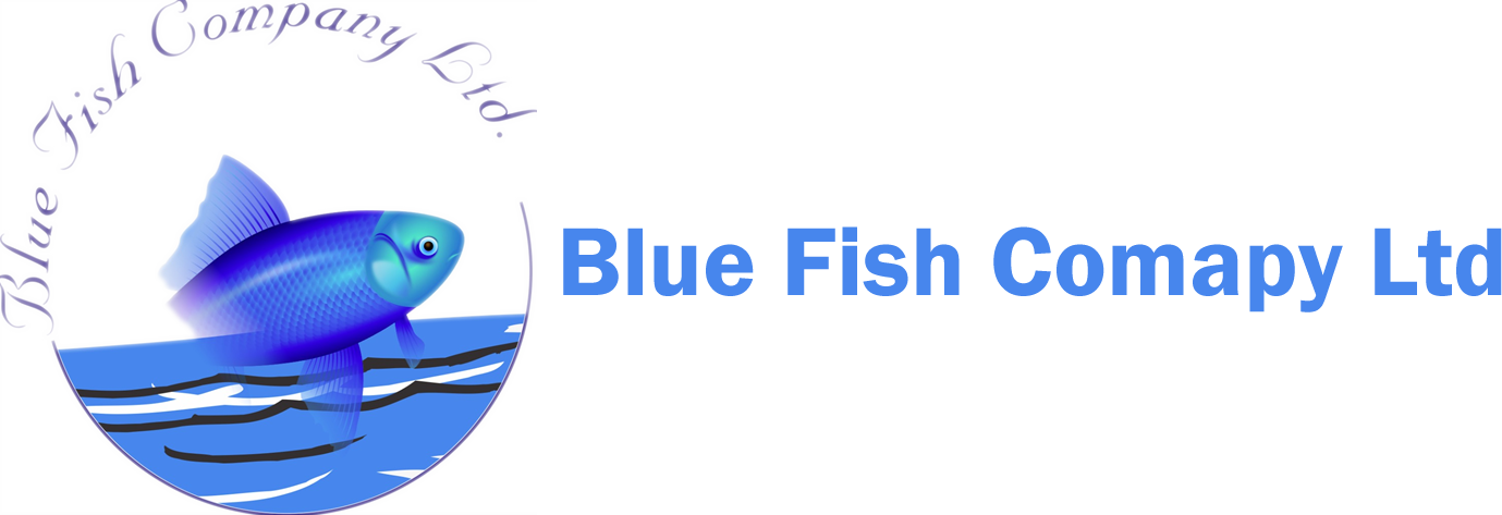 Blue Fish Company Limited